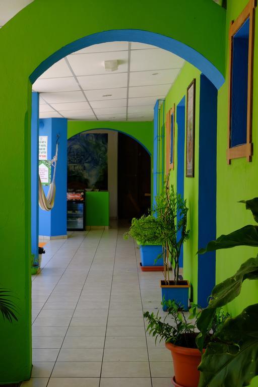 Hostal Casa Verde Santa Ana Extérieur photo